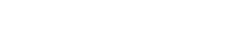cleverit_logo_white